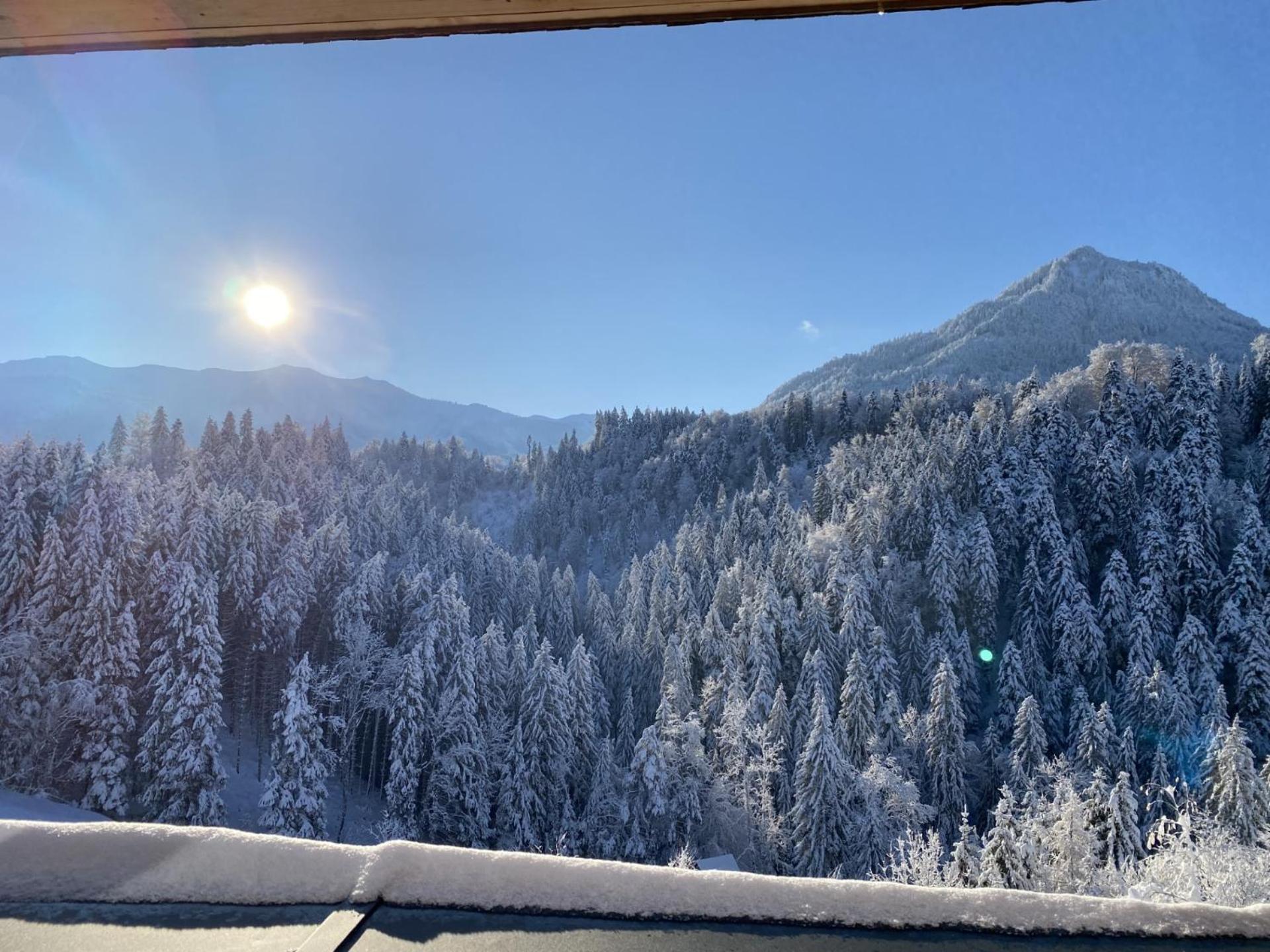 Wohnung Staufenblick Und Wohnung Firstblick 도른비른 외부 사진